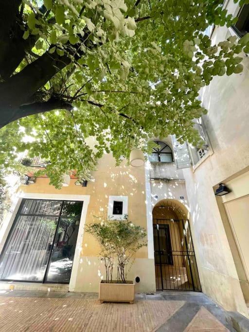 Le Cosy Littre - Coeur De - Rue Pietonne Apartment
